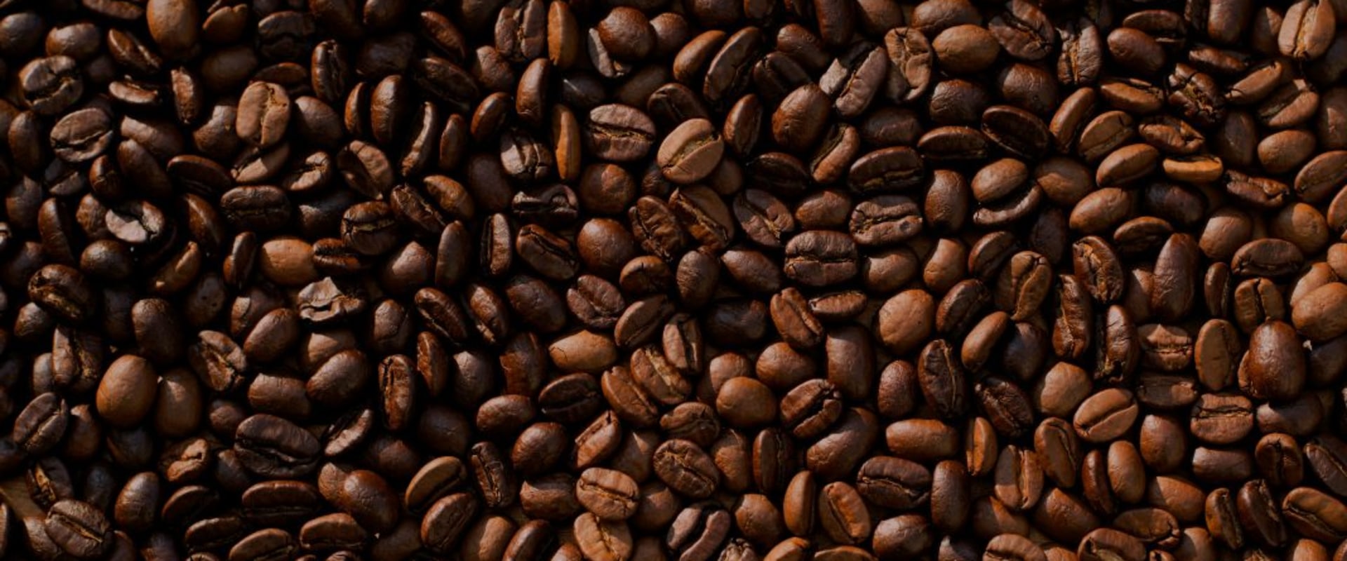 Exploring the Different Flavor Characteristics of Arabica Coffee Beans